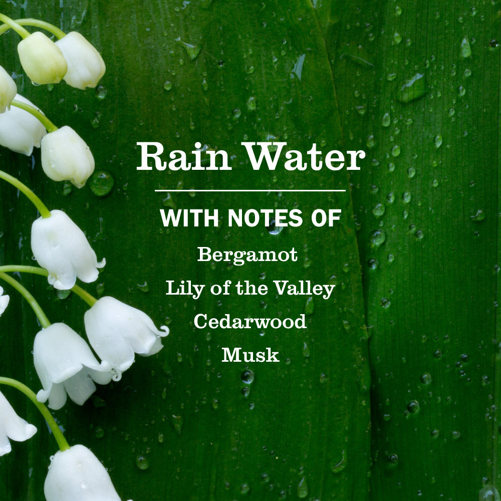 Rain Water Plug In Scented Oil Warmer With Refill