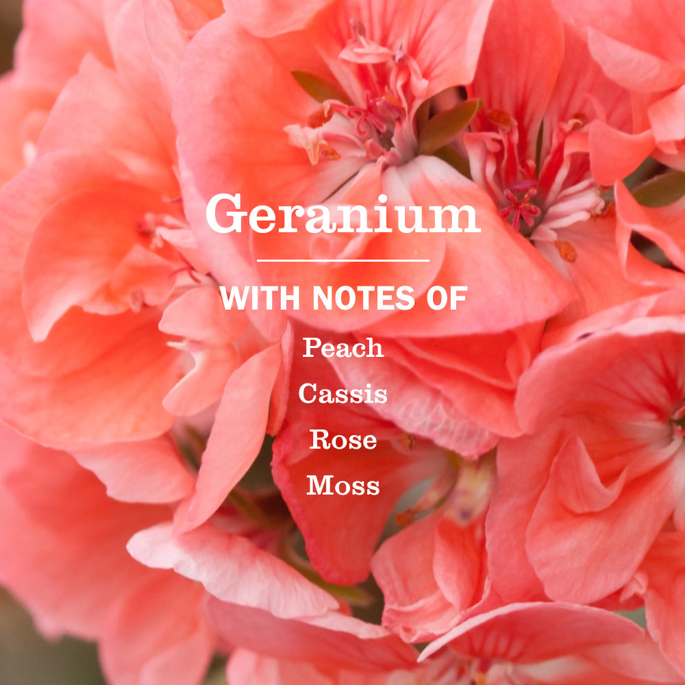 Geranium Liquid Hand Soap Refill