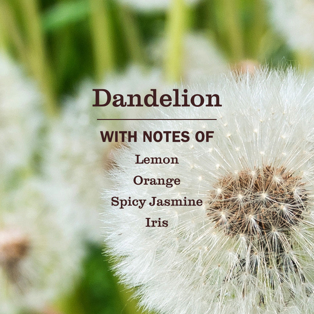 Dandelion Liquid Hand Soap