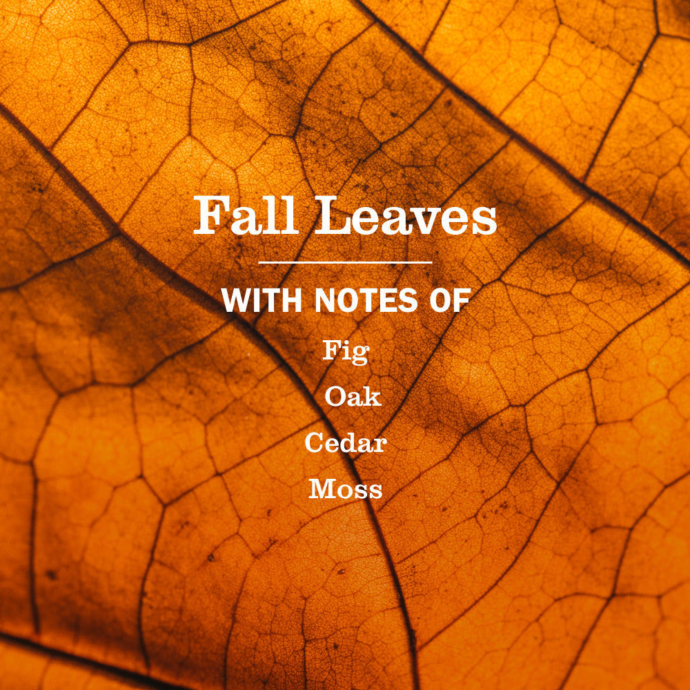 Fall Leaves Multi-Surface Everyday Cleaner