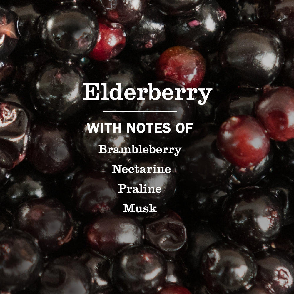 Elderberry Liquid Hand Soap