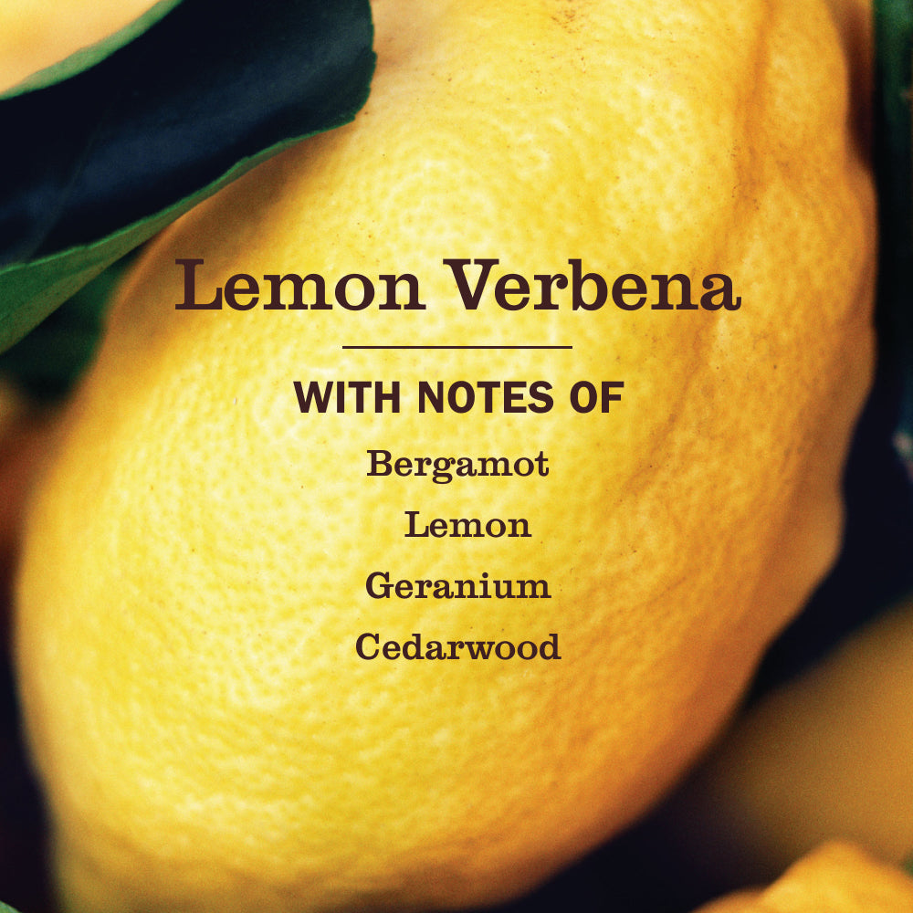 Lemon Verbena Multi-Surface Everyday Cleaner