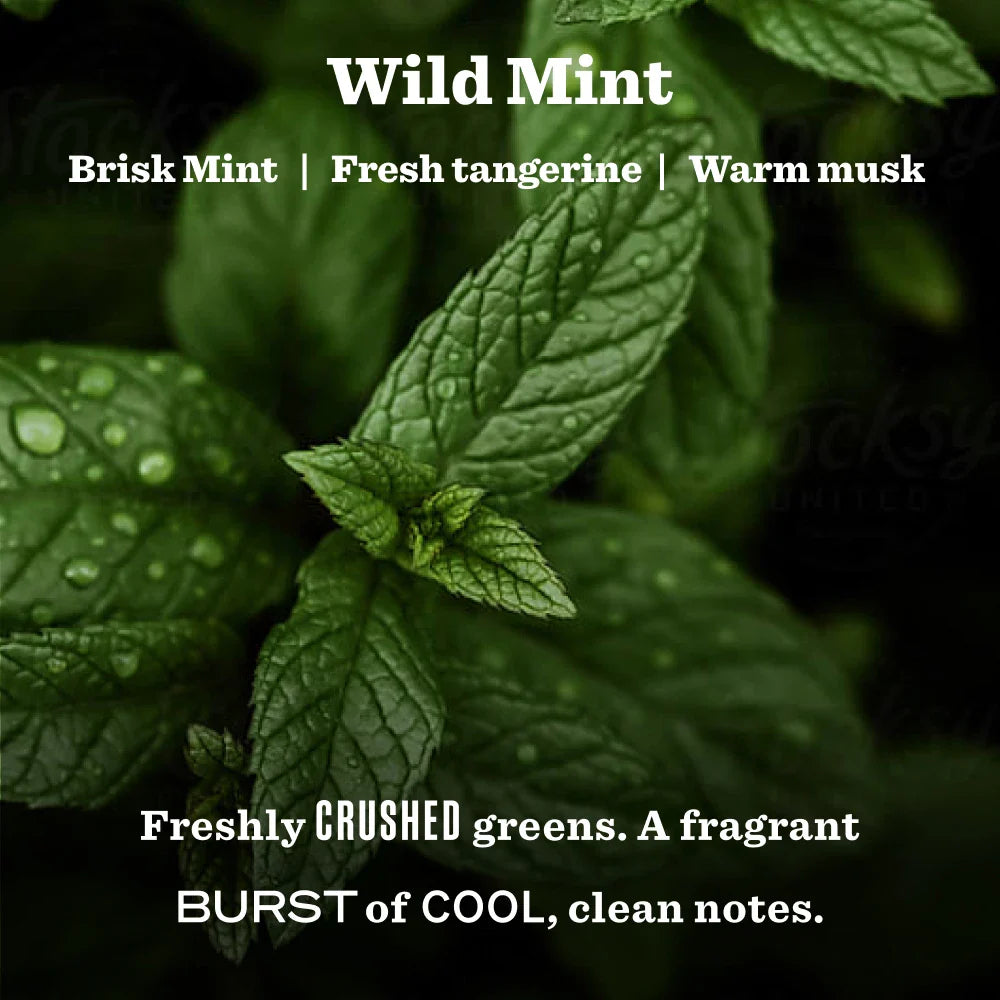 Wild Mint Garden Heirloom Candle
