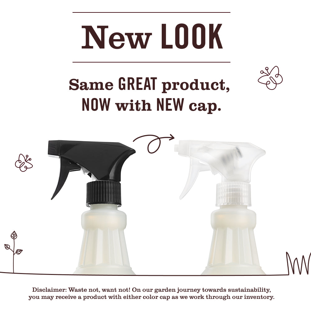 Apple Cider Multi-Surface Everyday Cleaner