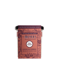 Fall Leaves Scented Soy Candle