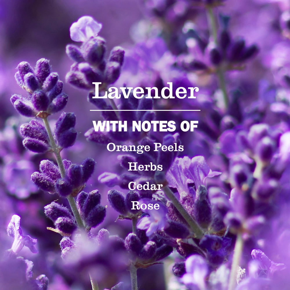 Lavender Probiotic Drain Maintenance