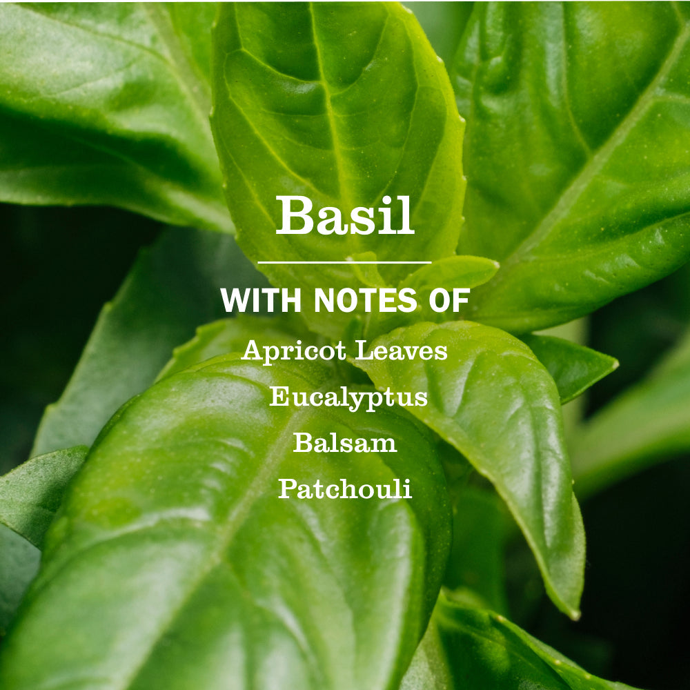 Basil Dryer Sheets