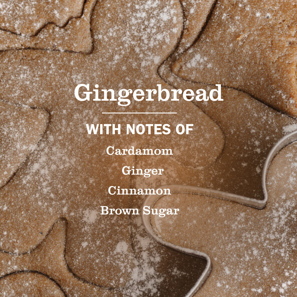 Gingerbread Multi-Surface Everyday Cleaner 3-count Bundle