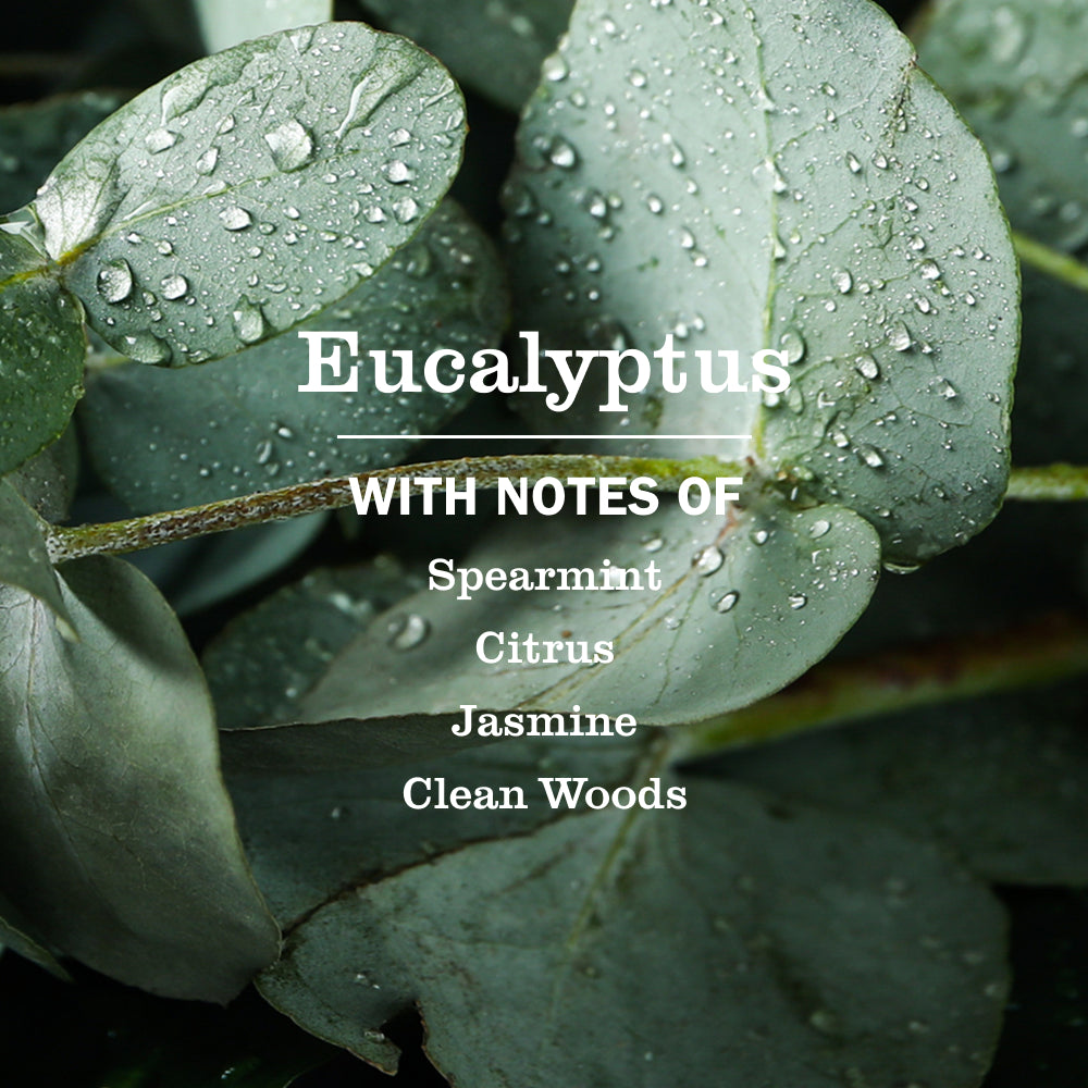 Eucalyptus Dish Soap