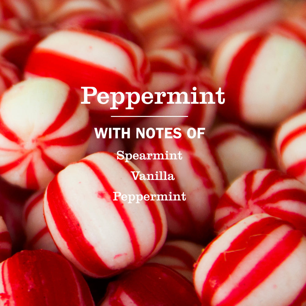 Peppermint Kitchen Basics Set