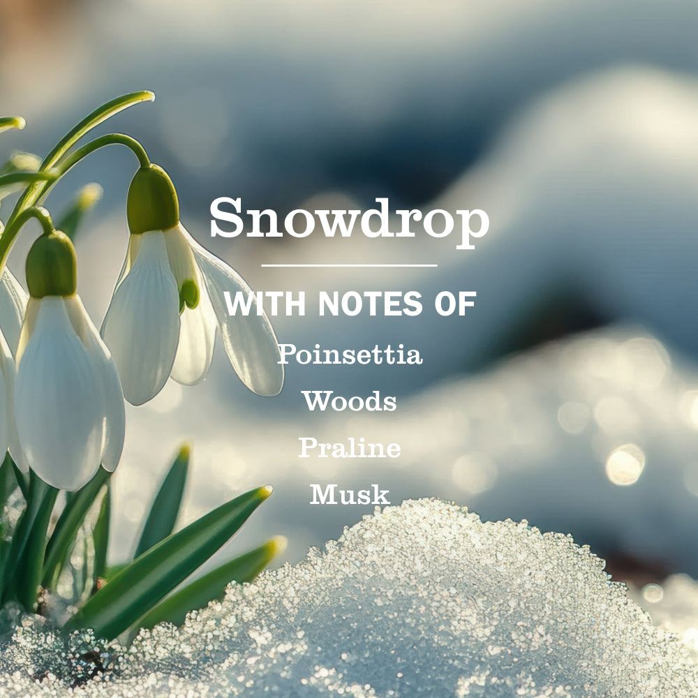 Snowdrop Liquid Dish Soap