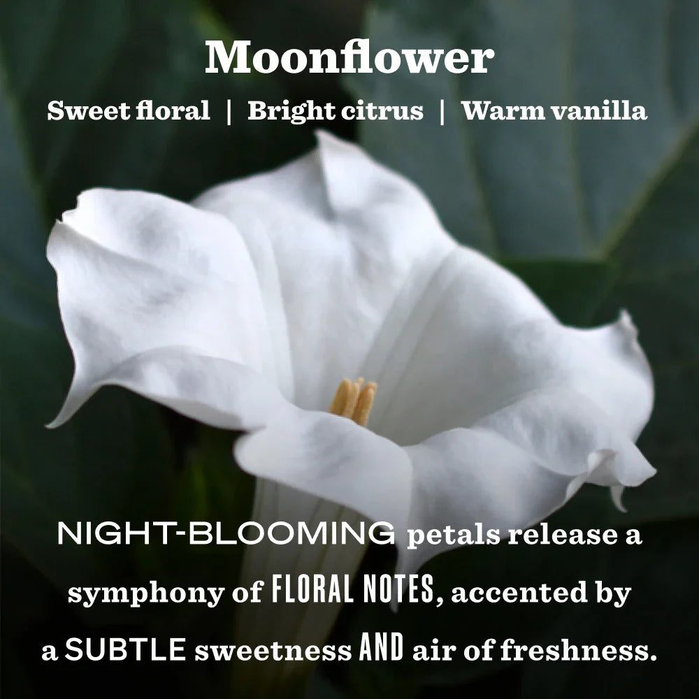 Moonflower Garden Heirloom Candle