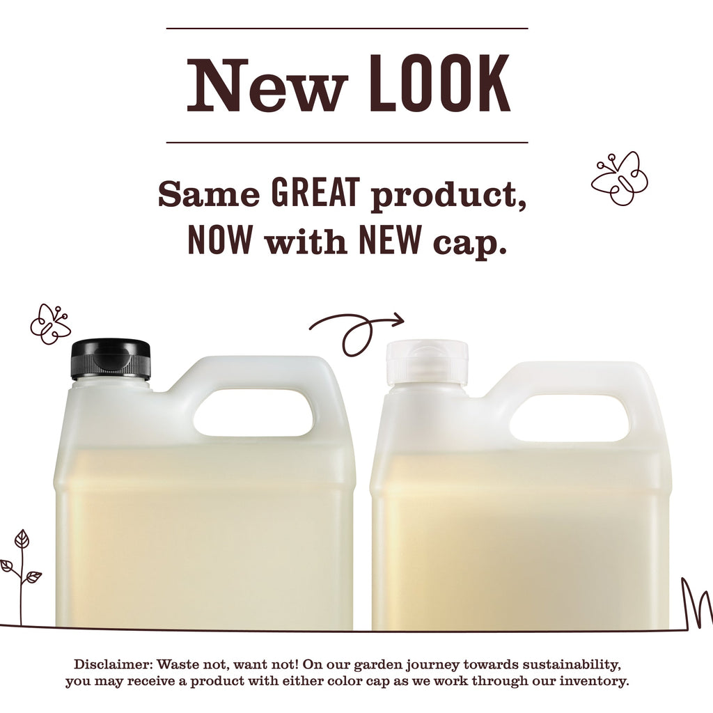 Basil Liquid Hand Soap Refill